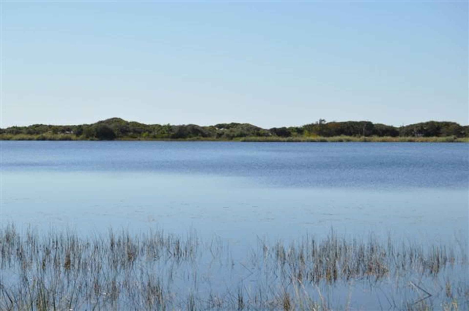 Lake north shoreline