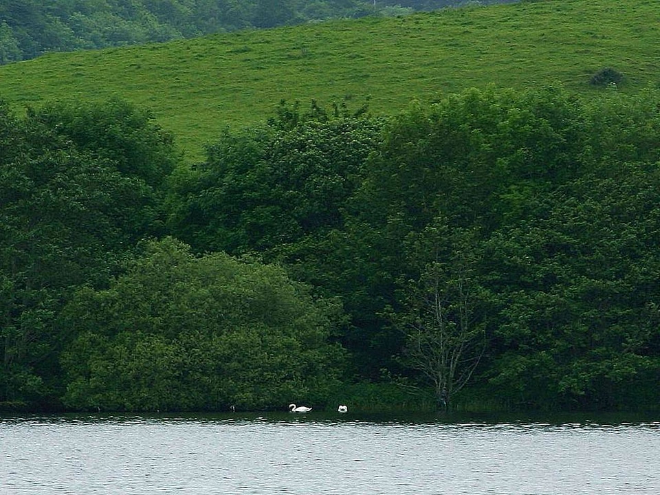 Lake  