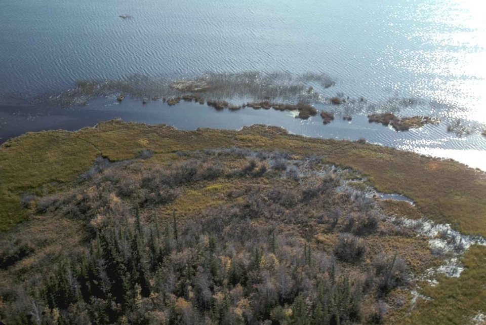 Countryside estate lakes