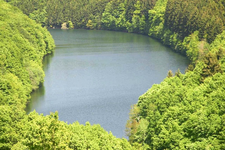 Nature pond 
