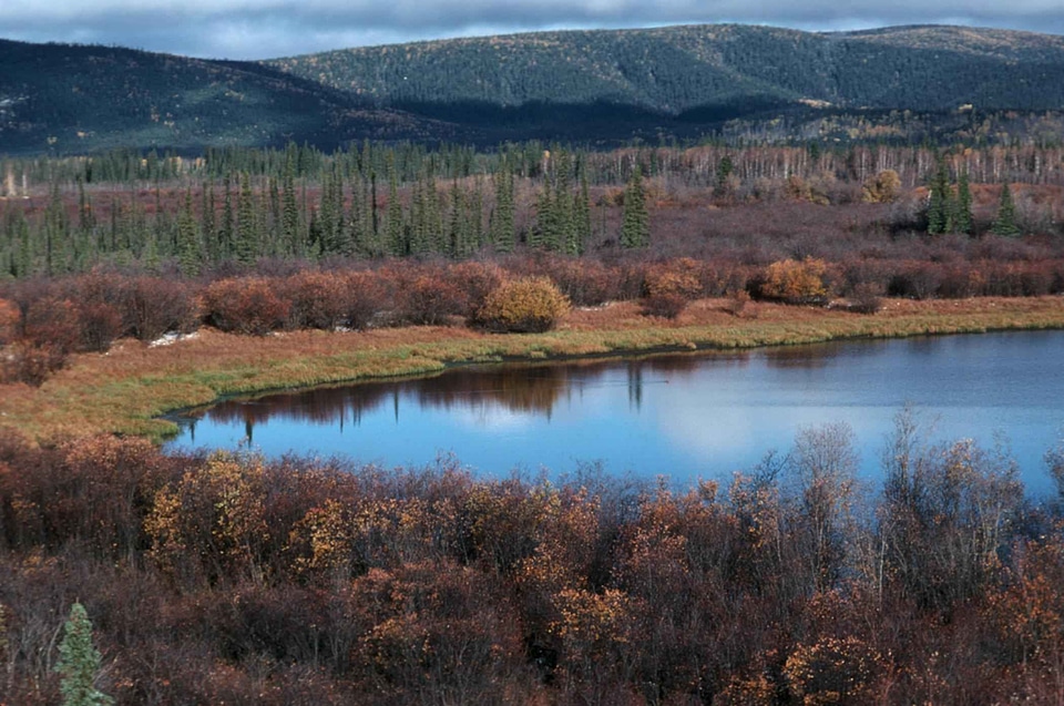 Autumn bell lake photo