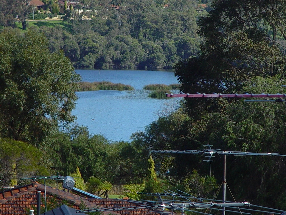 Countryside lake 