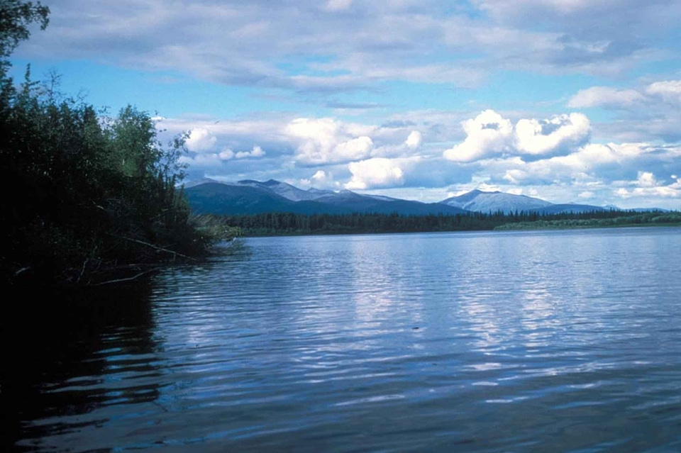 Lake shade shoreline photo