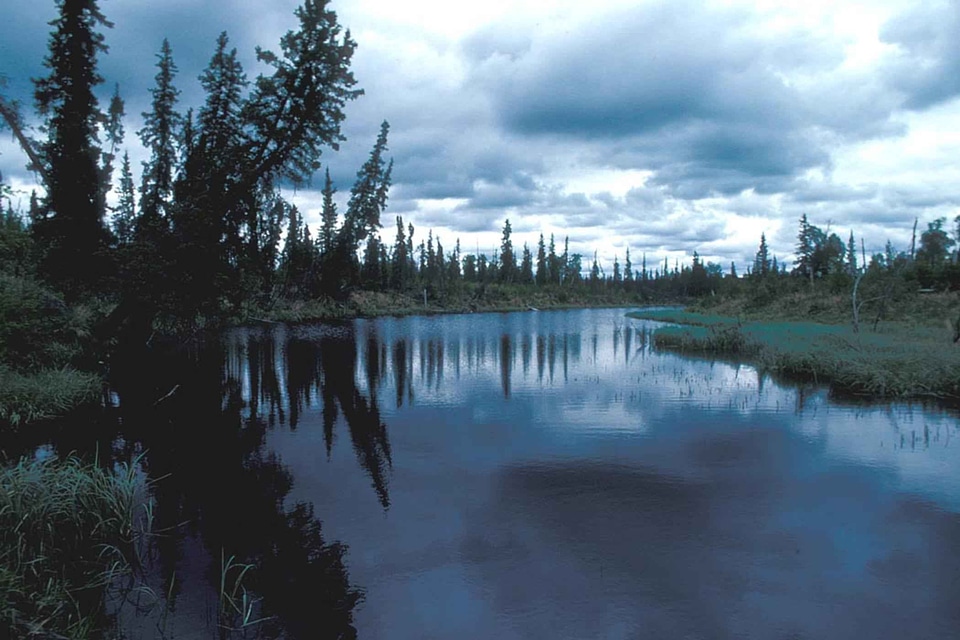 Lake nature scenic