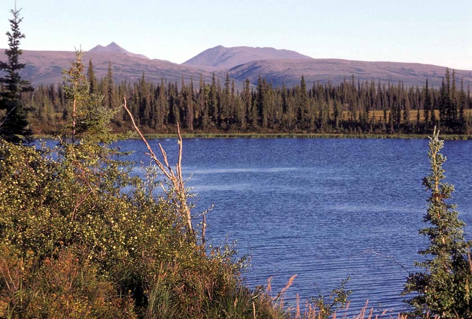 Cross Section lake river