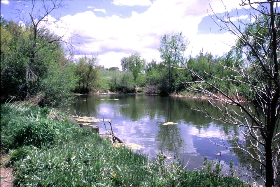Domestic lake nature
