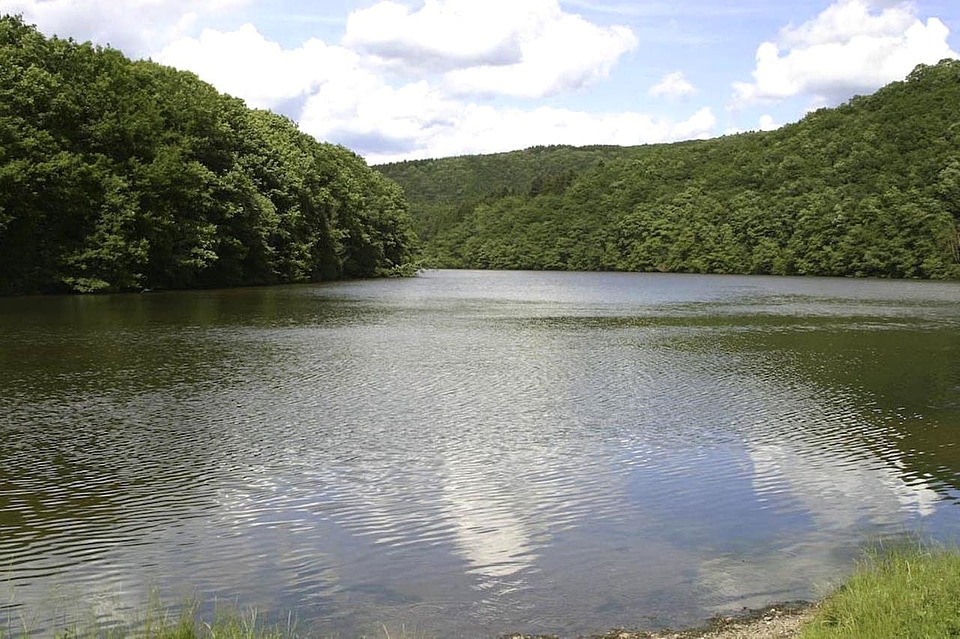 Lake nature reservation