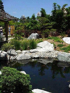 Balboa friendship garden