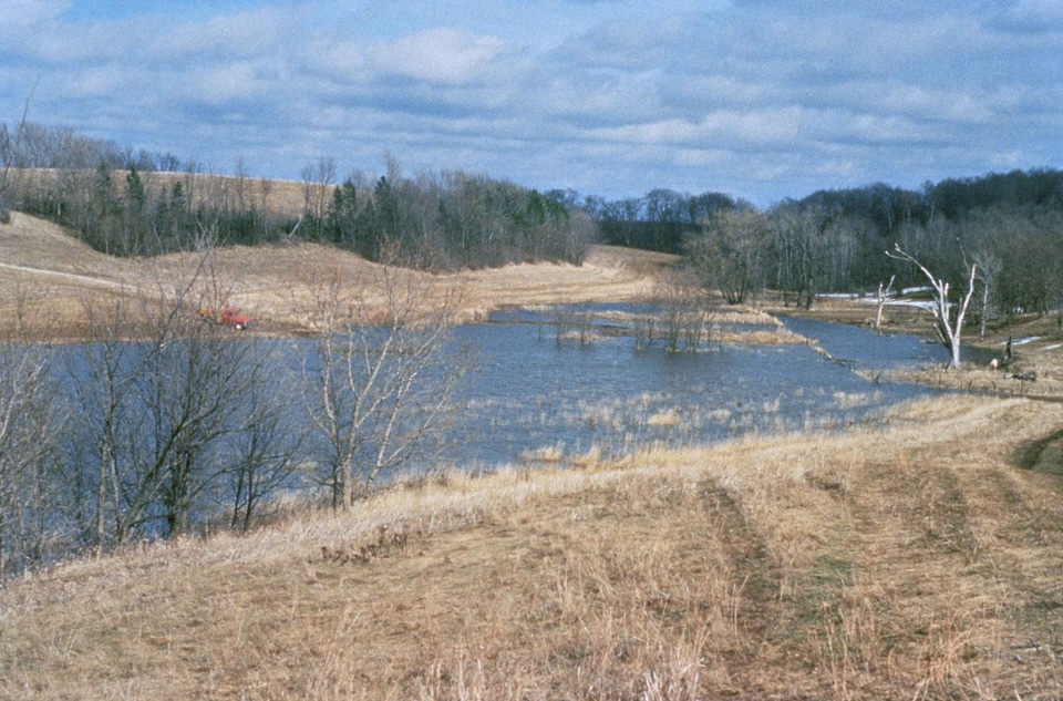 Around grass plants lake