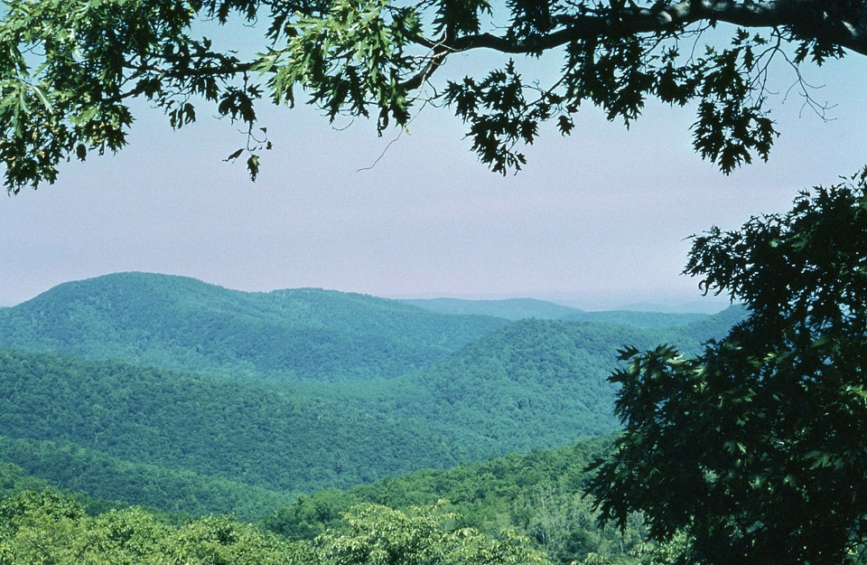 Domestic national park park