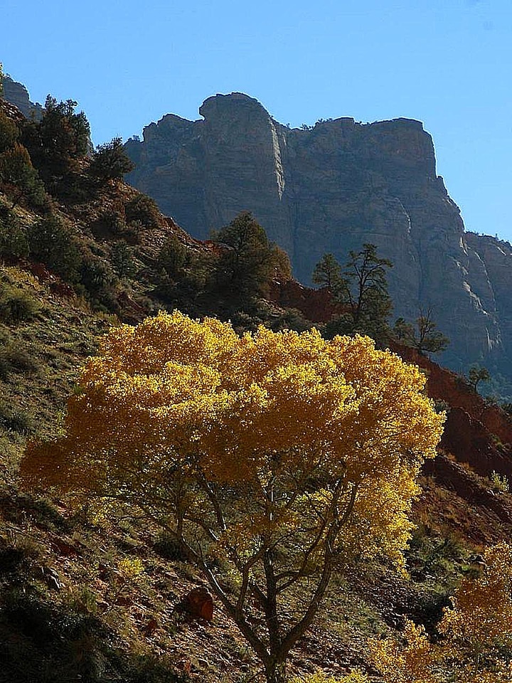 Domestic national park park