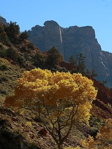 Domestic national park park