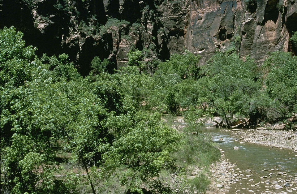 Domestic national park park