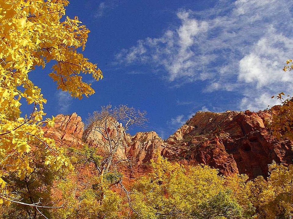 Domestic hill national park