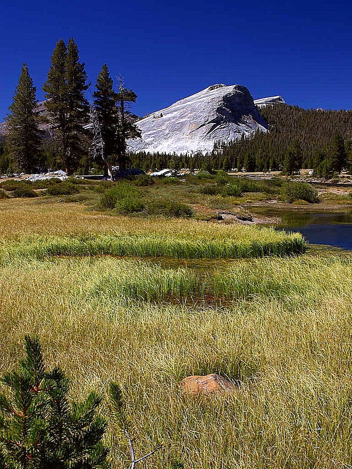 Domestic national park park