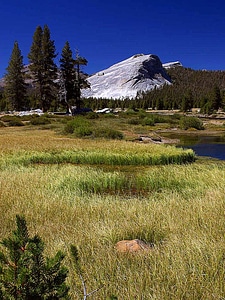 Domestic national park park
