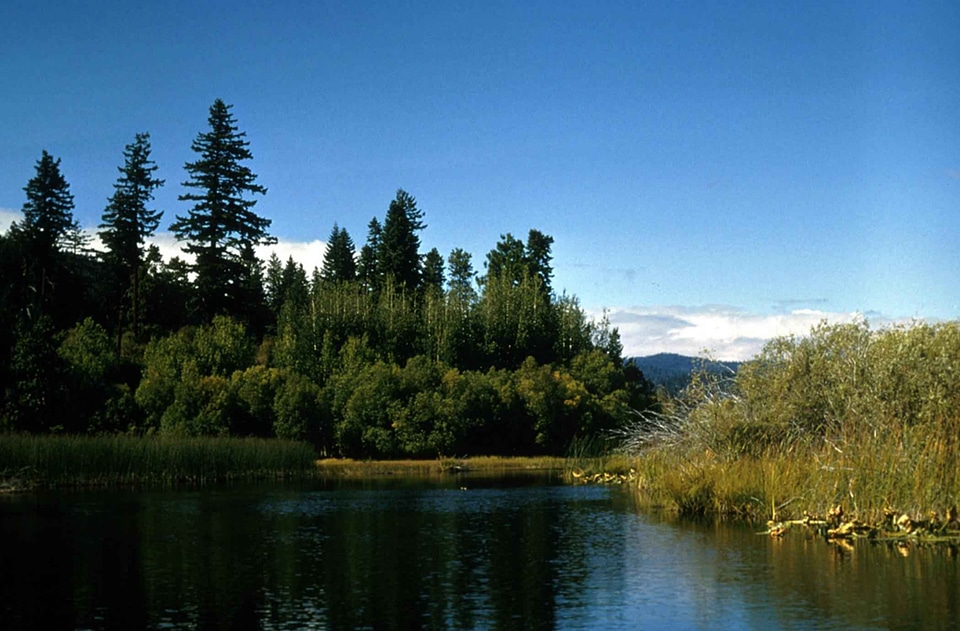 Domestic national park park