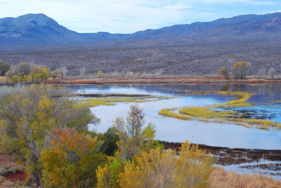 Natural Habitat nature scenic