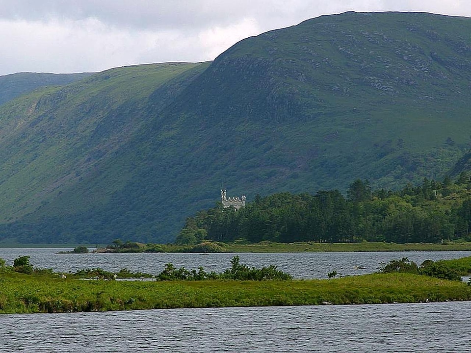 Domestic national park park