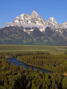 Domestic great national park photo