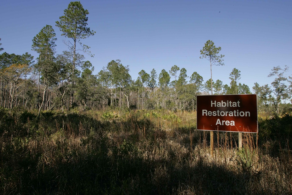Area habitat recovery
