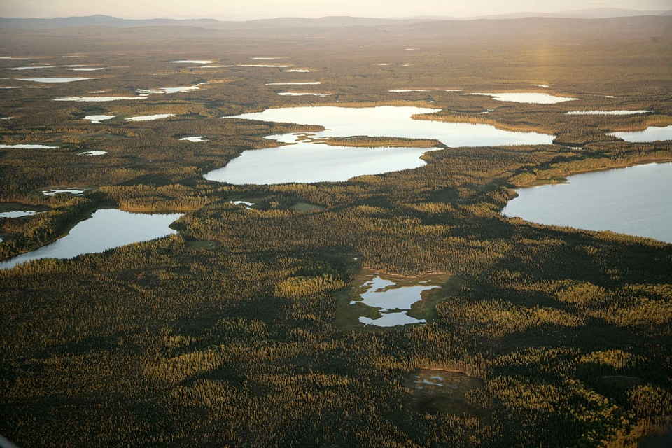Domestic lakes nature