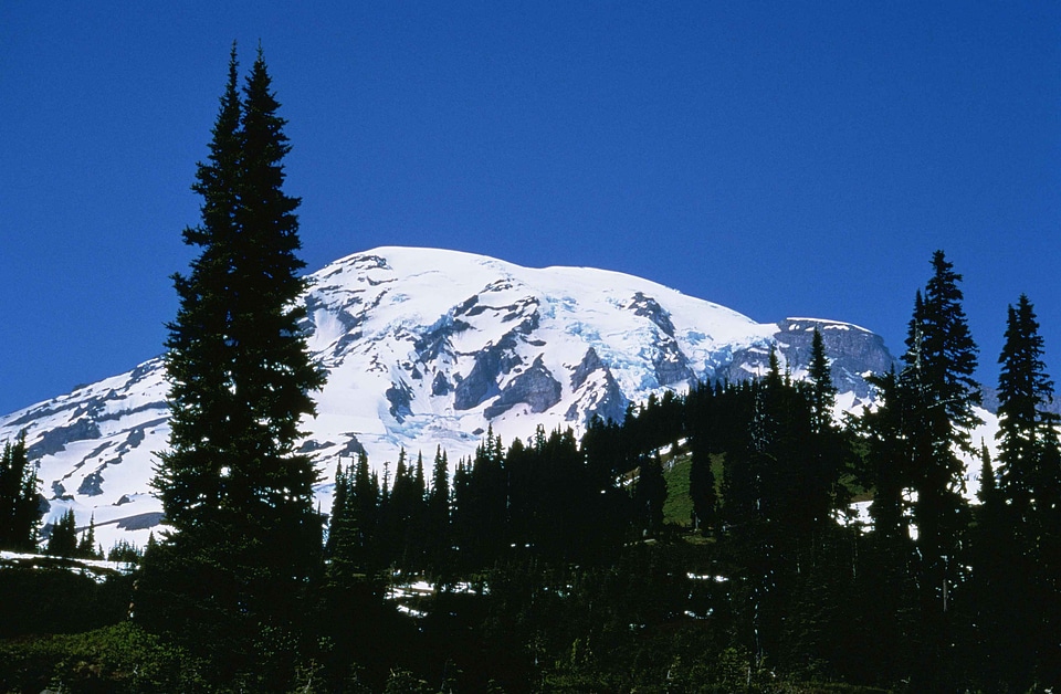 Domestic national park park
