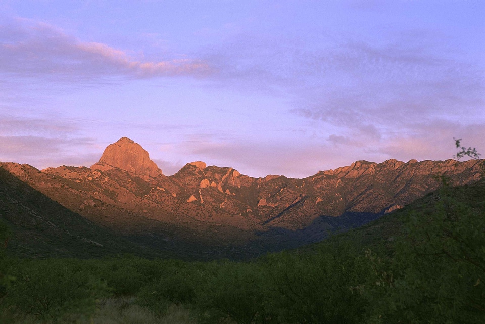 Beak campaign mountain