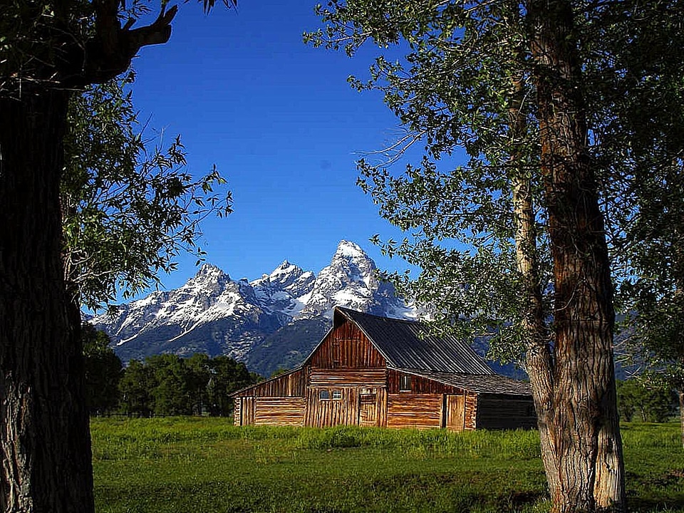 Great Mormon park