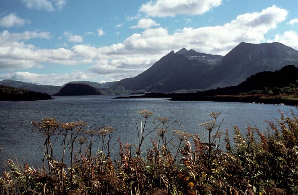 Domestic national park park