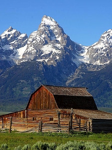 Barn domestic great
