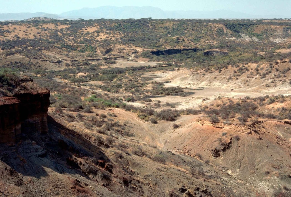 Canyon  