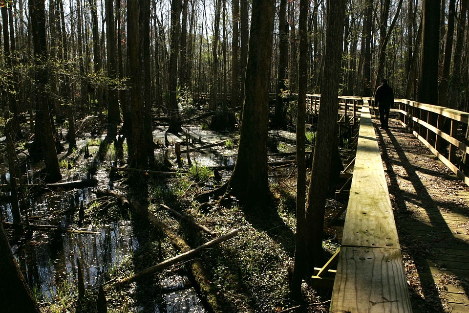 Experience nature refuge