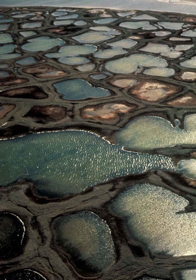 Arctic bottom refuge