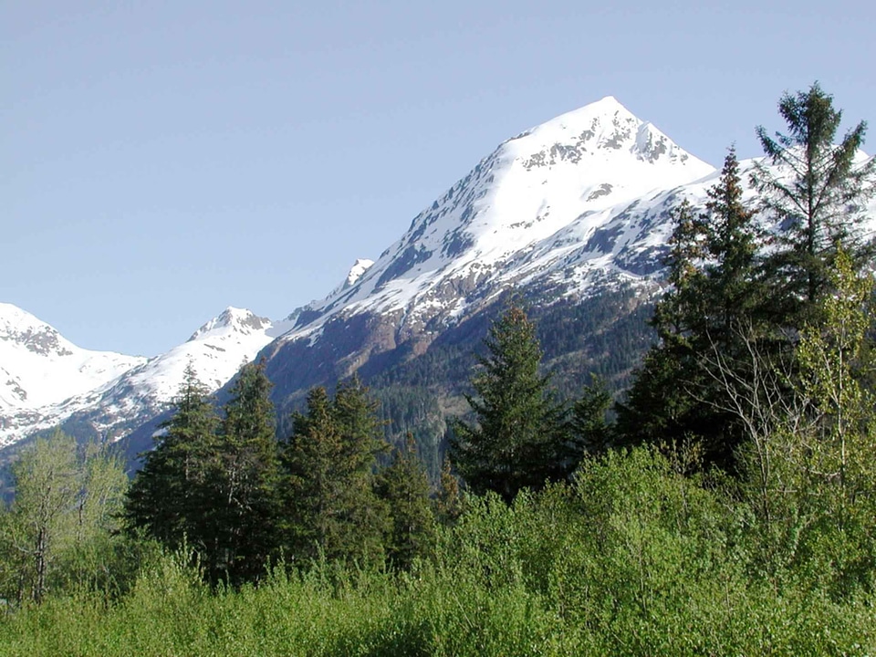 Domestic national park park