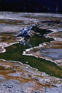 Dead departure geyser