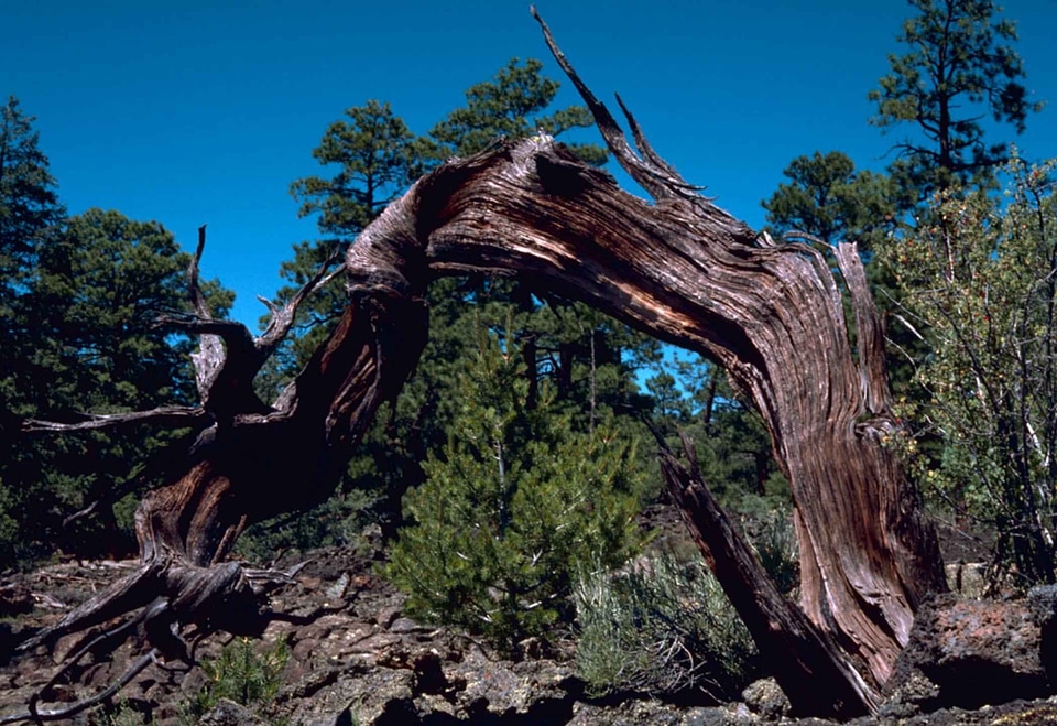 Domestic monument national monument