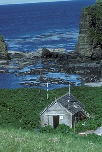 Cabin island refuge