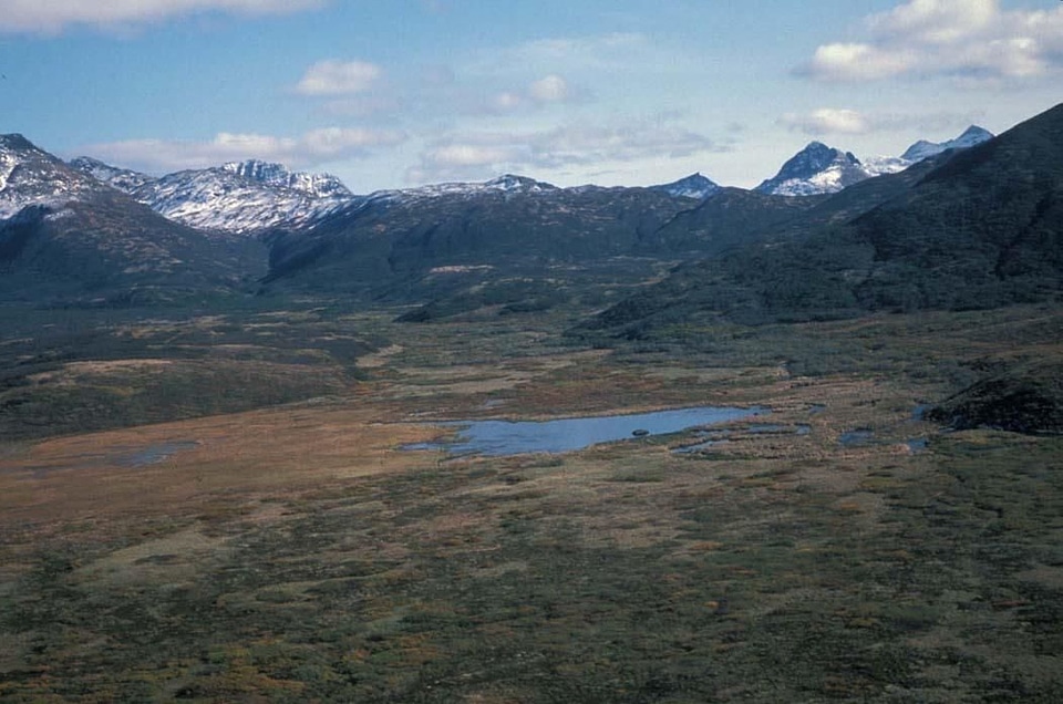 Alaska bell domestic