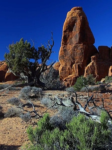 Domestic national park park