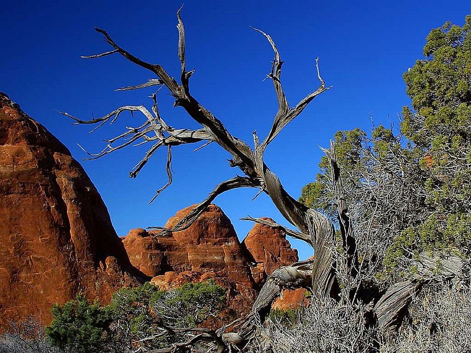 Ancient domestic national park