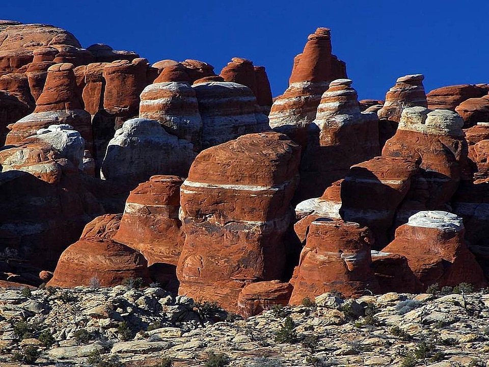 Domestic national park park