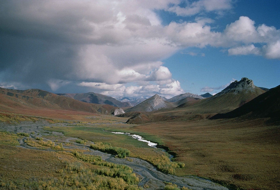 Arctic countryside domestic