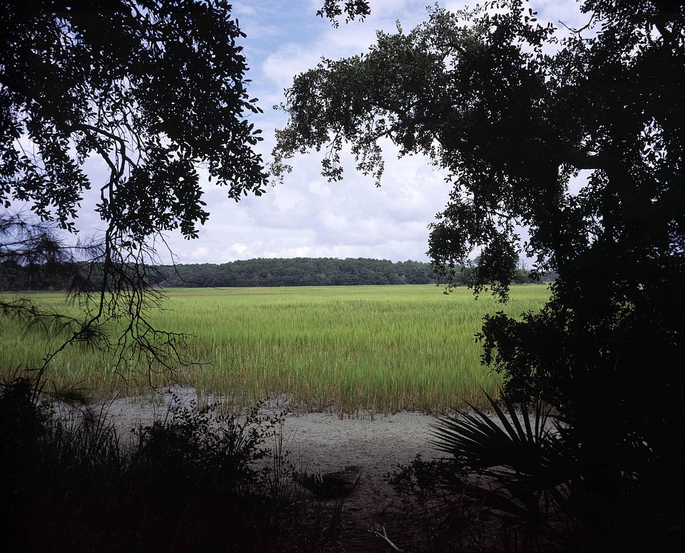 Countryside greenery scenic