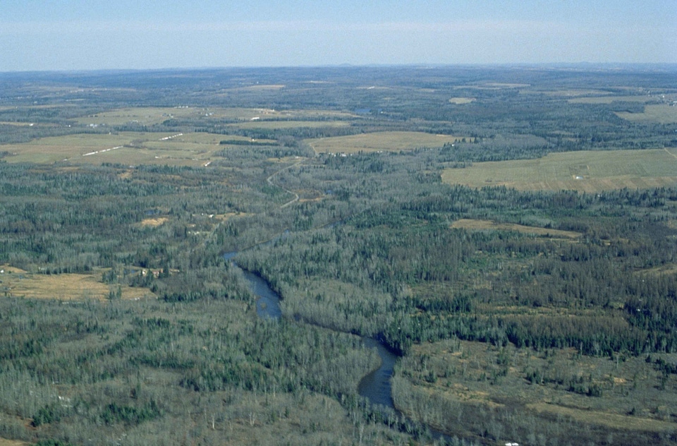 Domestic forestry nature