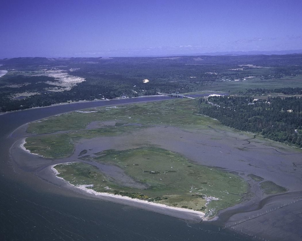 Domestic marsh nature