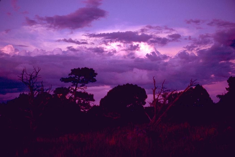 Domestic national park park