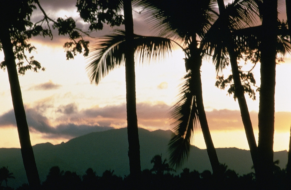 Sunset  