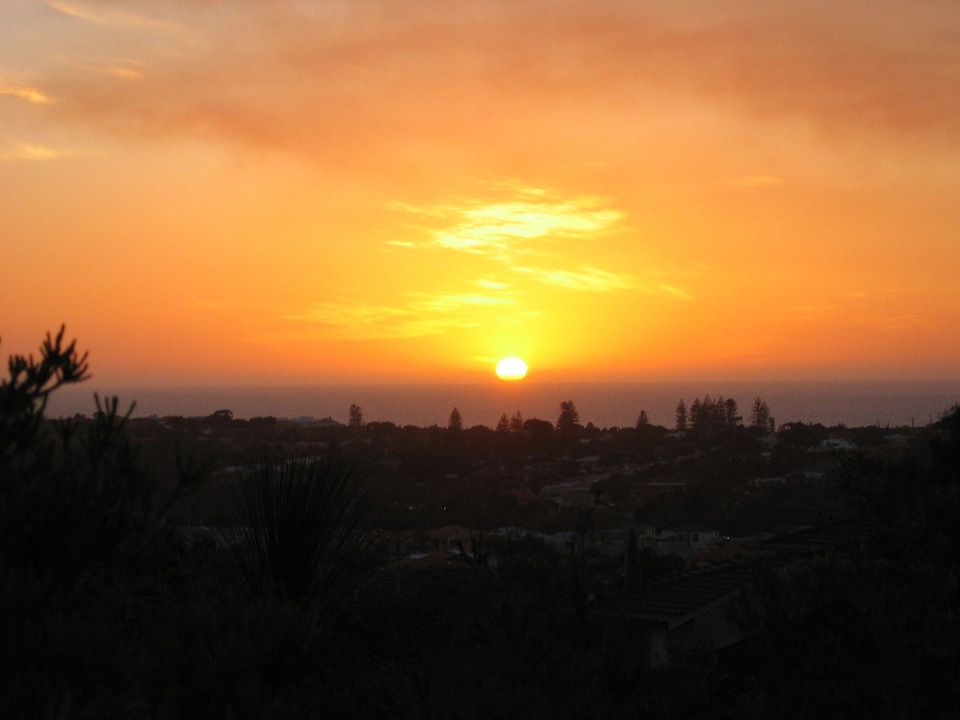 Looking phylum sunset