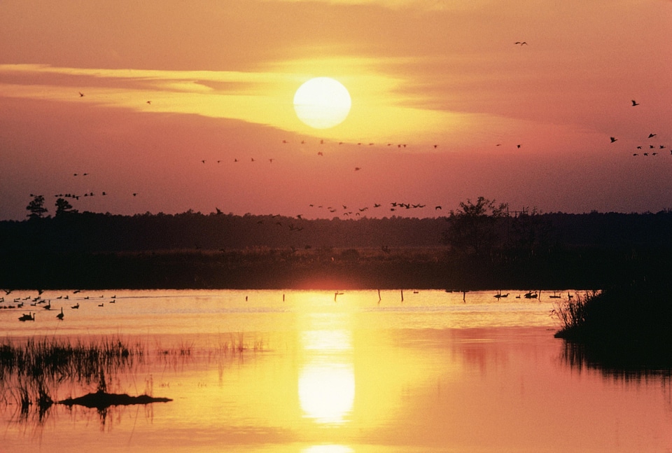 Lake sunset 